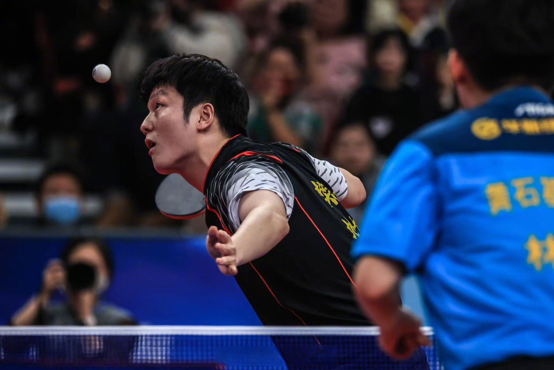 波兰乒乓球队爆冷瑞典乒乓球队,樊振东绝境逆转的简单介绍 波兰乒乓球队爆冷瑞典乒乓球队,樊振东绝境逆转的简单介绍