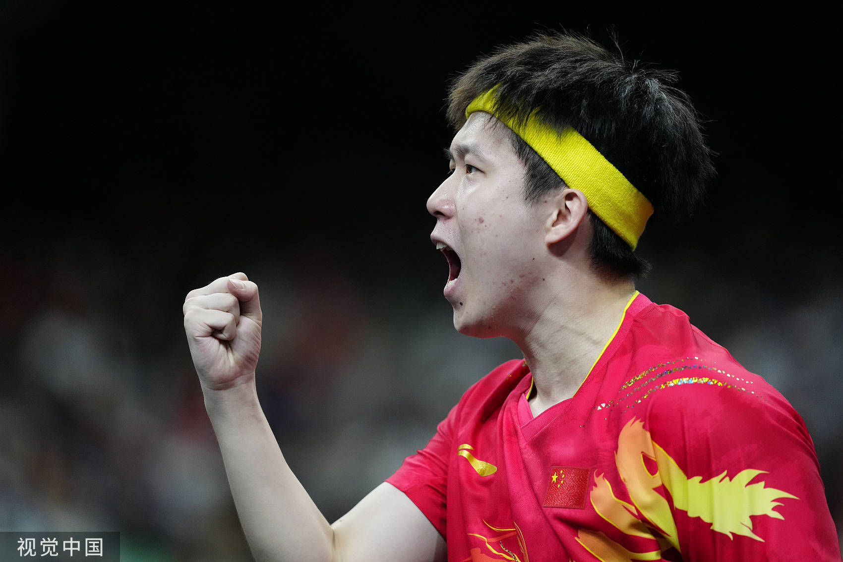 法国乒乓球队轻取瑞典乒乓球队，水谷隼三分雨点燃全场的简单介绍