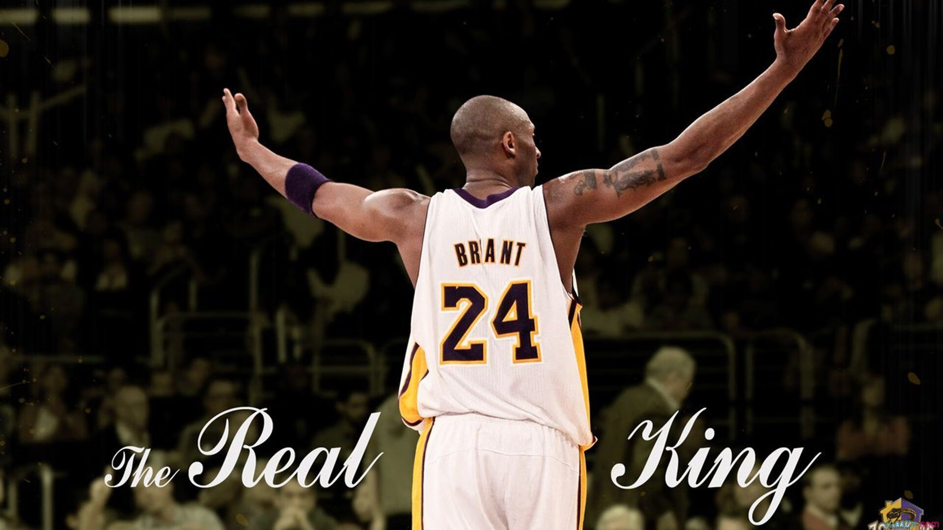 太阳翻盘快船，字母哥如何带动全队节奏的启示