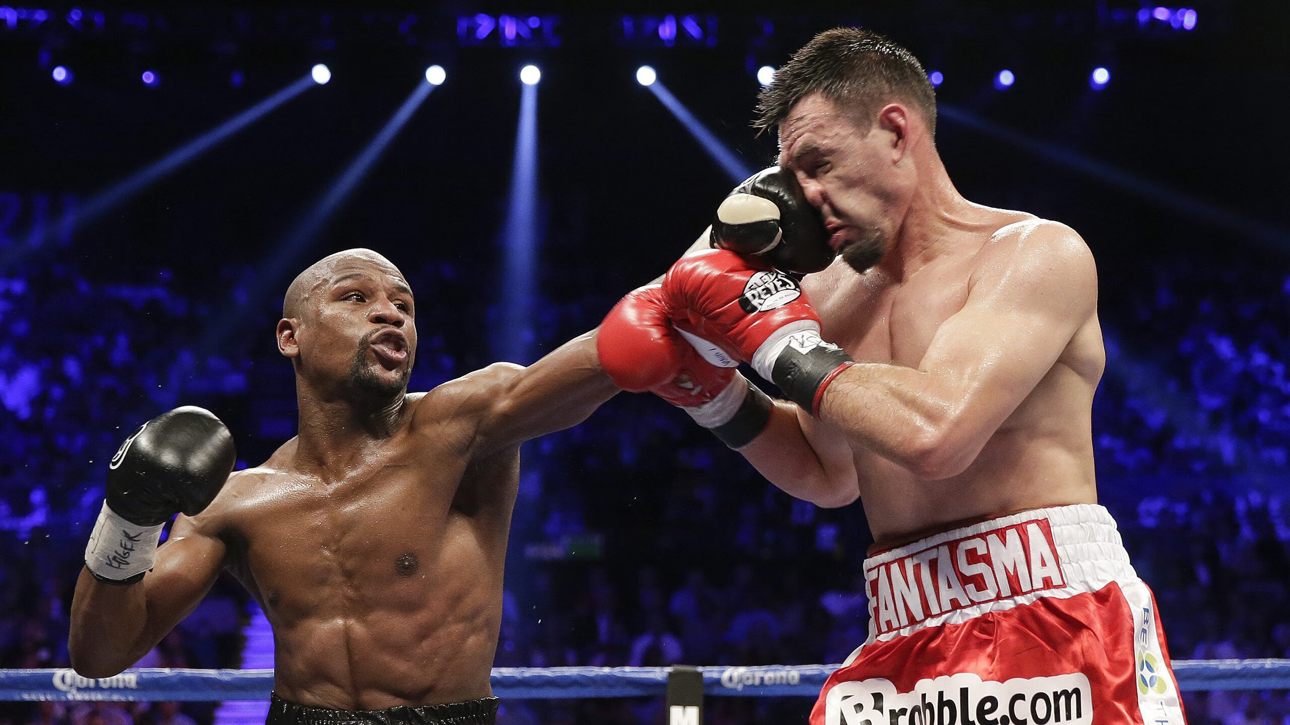 绿茵场上的鏖战,乒乓台前的高光—当德国战车遭遇葡萄牙航海家,樊振东的锋芒照亮赛场